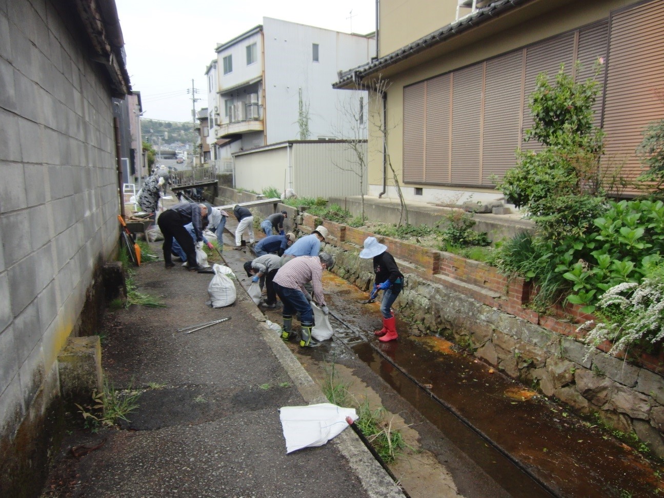 【駅前区】 日吉川の清掃活動を行いました!! 【駅前区】 日吉川の清掃活動を行いました!!