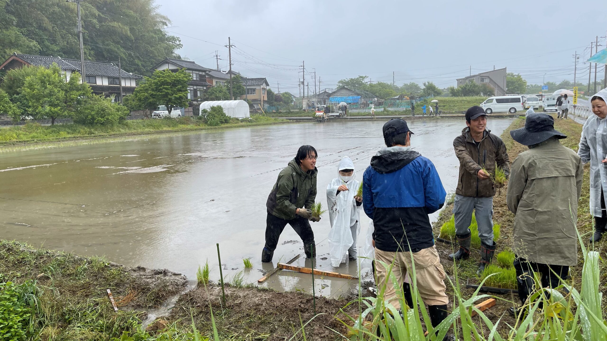 【森津区】　子供会の田植え体験！！